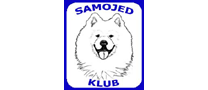 samojed